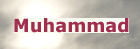Muhammad is The Prophet of Islam