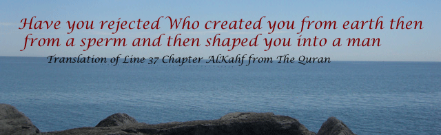 image of nature created by Allah