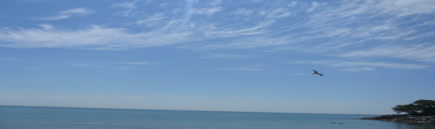Learn the Quran sea image