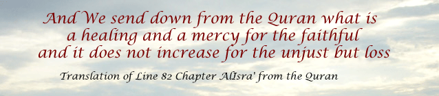 learn the quran image